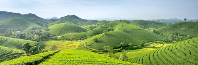 Qué es la agricultura ecológica